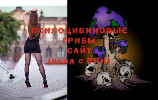 твердый Волоколамск