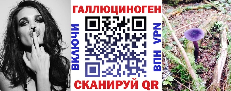 купить наркотик  Барнаул  Псилоцибиновые грибы Cubensis 